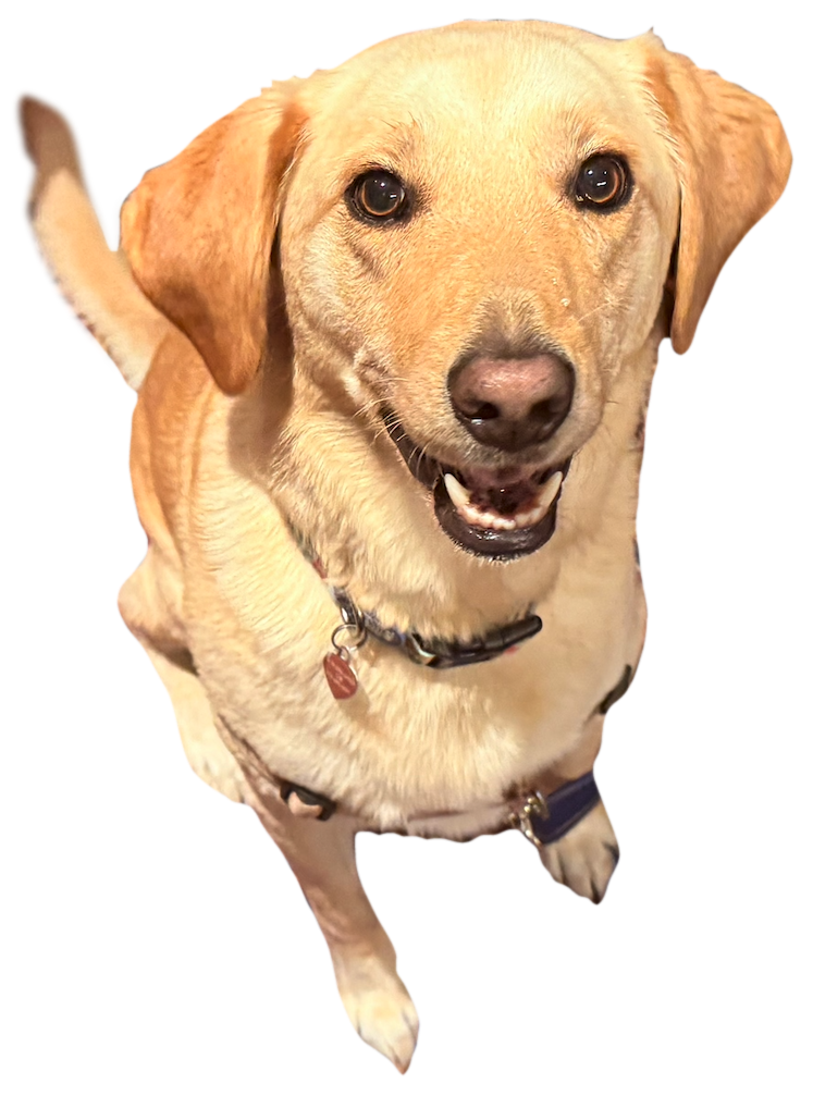 Ruby beside her utility function